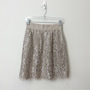 Jcrew Metallic Lace Skirt Holiday Party Festive Event